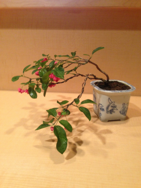 作品集・葉月園